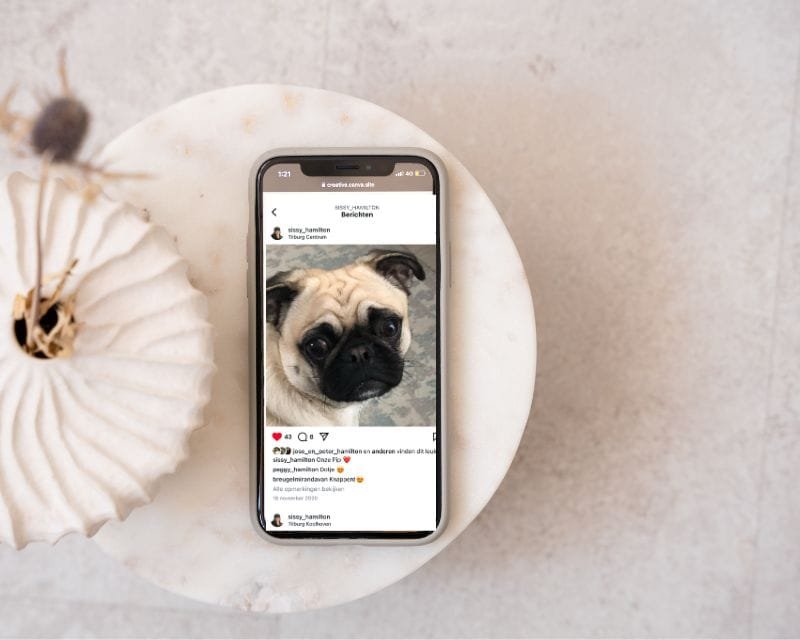 Social Media Beheer voor Groeiende Ondernemers Sissy Hamilton Social Media Beheer voor Groeiende Ondernemers Sissy Hamilton